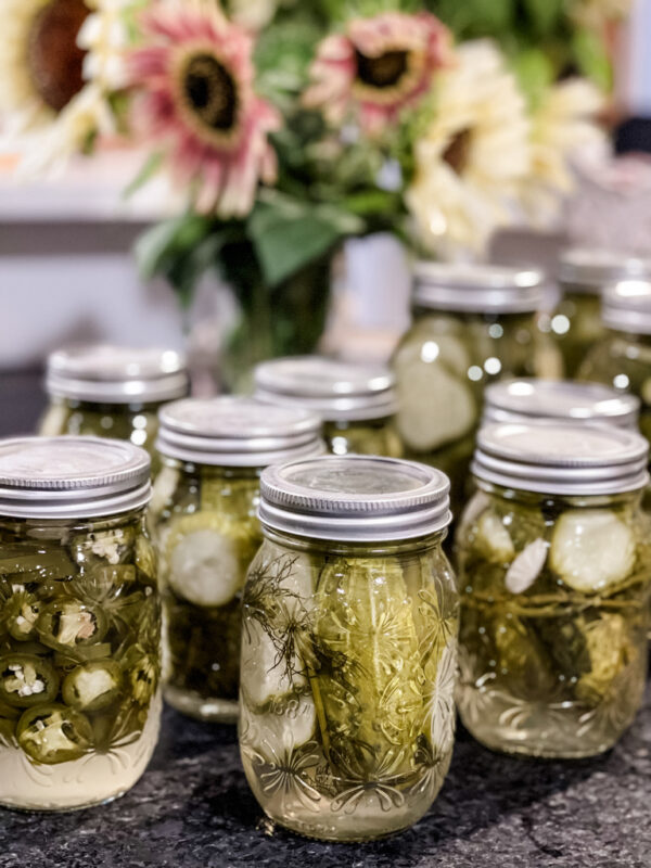 Homemade dill pickles 