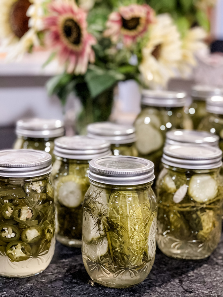 How to Make Crunchy Homemade Dill Pickles (Canning or Refrigerator Method)