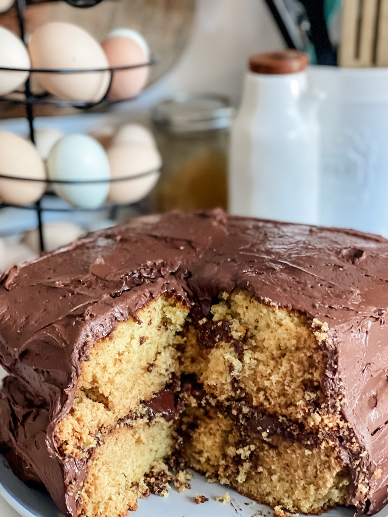 Homemade yellow cake with chocolate frosting from scratch with freshly milled flour, farm fresh eggs, and raw goats milk