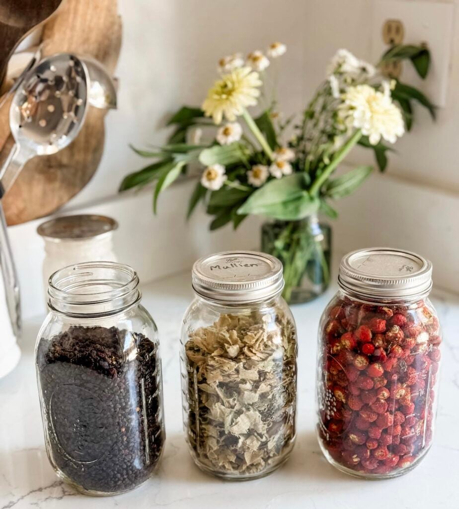 dried rosehips, elderberries, and mullein