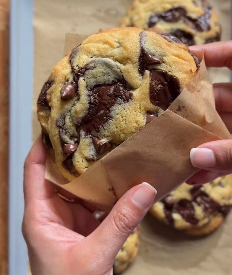 Double Chocolate Chip Cookies