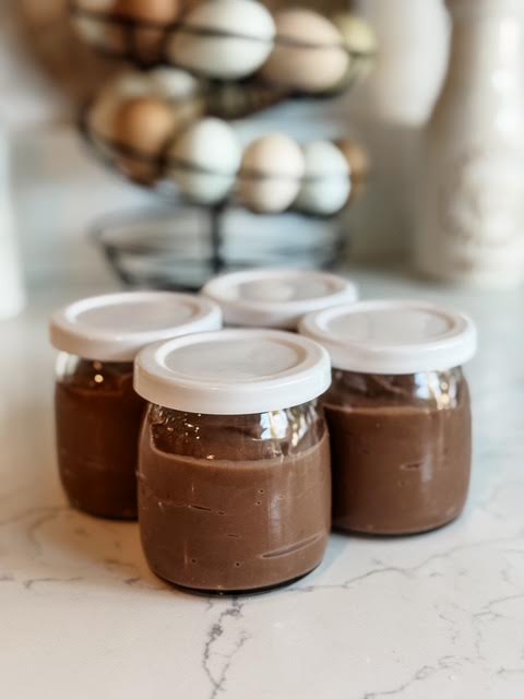 homemade chocolate pudding no additives more protein